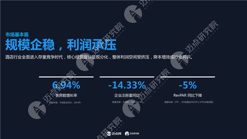 2025年中國酒店投資運(yùn)營(yíng)與品牌發(fā)展報(bào)告